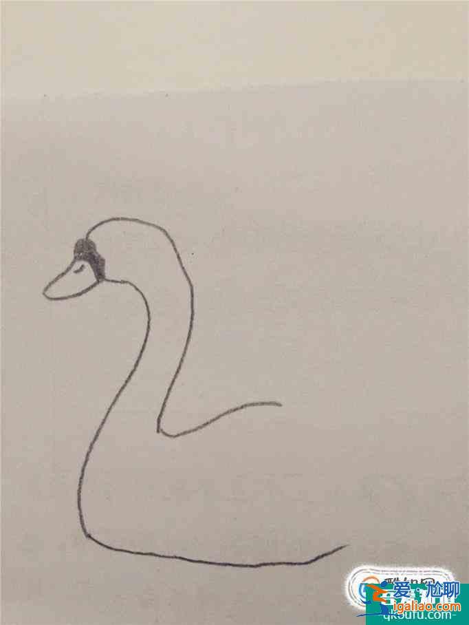 畫白天鵝的簡筆畫？