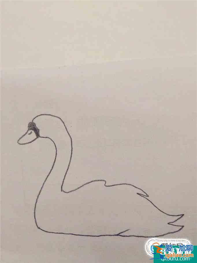 畫白天鵝的簡筆畫？