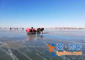 除了冬捕,查干湖冬天有什么好玩的? 除了冬捕,查干湖冬天有什么好玩的?