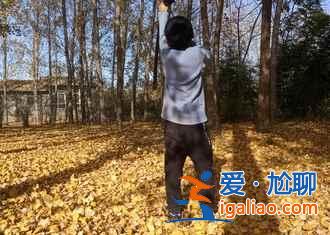 菏澤牡丹園門票，山東菏澤牡丹園怎么去？