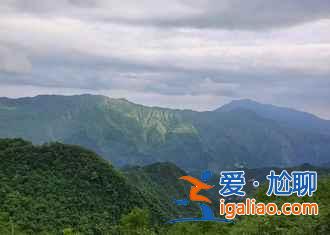 2017彭州牡丹花會，2017彭州牡丹花會時間？