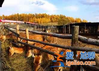 【根河在哪里】冬天根河有什么好玩的，根河為什么比漠河冷？