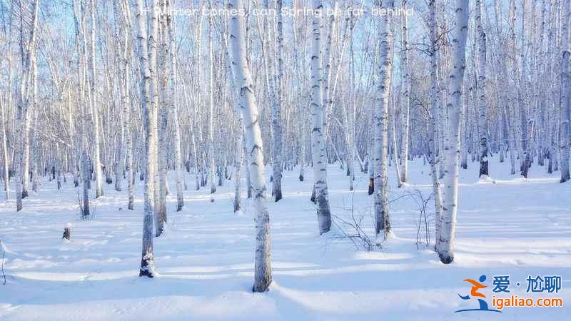 【根河在哪里】冬天根河有什么好玩的，根河為什么比漠河冷？