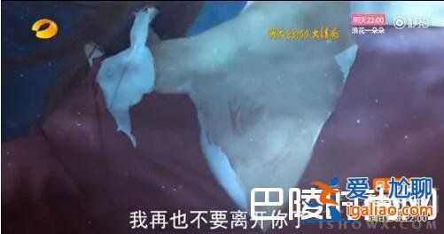 楚喬傳大結(jié)局：星玥夫婦結(jié)局如何？楚喬傳2還會開拍？？