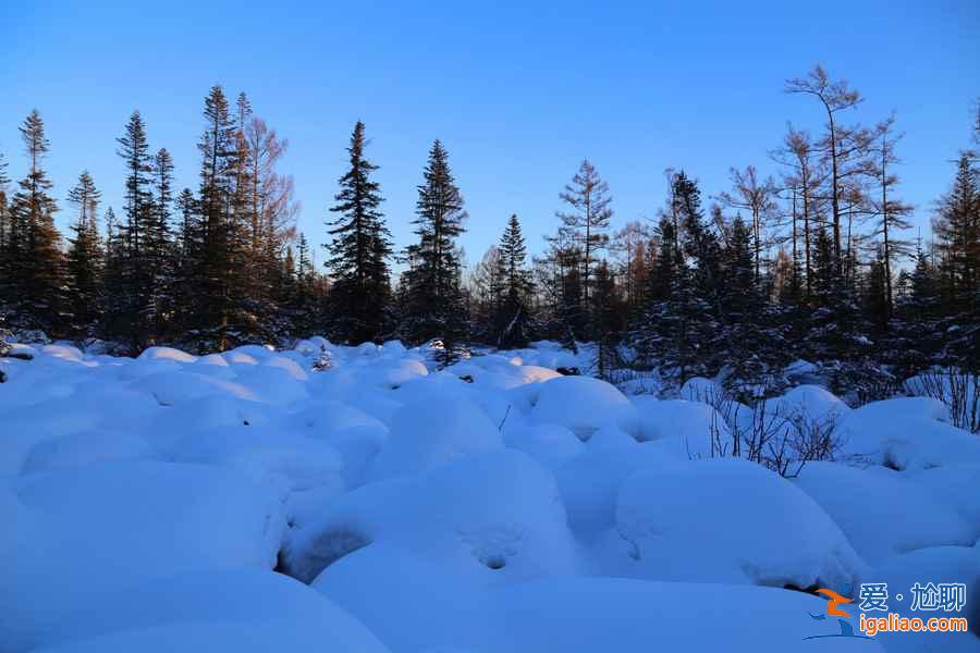 冬天去哪看雪好？冬天哪里的雪景最漂亮？中國最美雪景在哪里？？