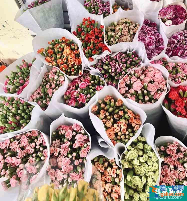 薅羊毛十元一把買花八卦嶺花卉市場？