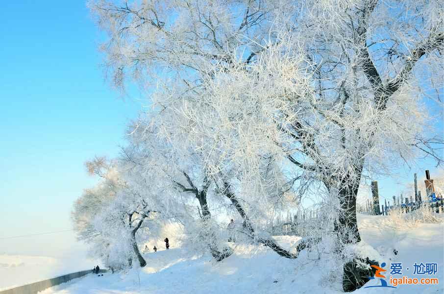 冬天去哪看雪好？冬天哪里的雪景最漂亮？中國最美雪景在哪里？？