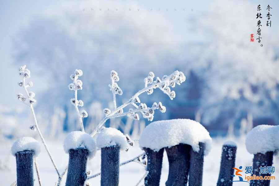 冬天去哪看雪好？冬天哪里的雪景最漂亮？中國最美雪景在哪里？？