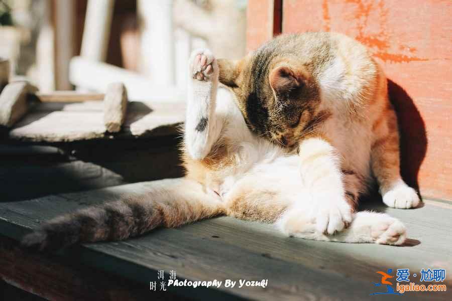 冬天去大理好嗎，冬天去大理穿什么？