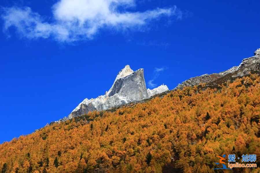 四川8大紅葉觀賞地，2018四川紅葉進入最佳觀賞期？