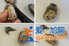 鮑魚的做法大全？