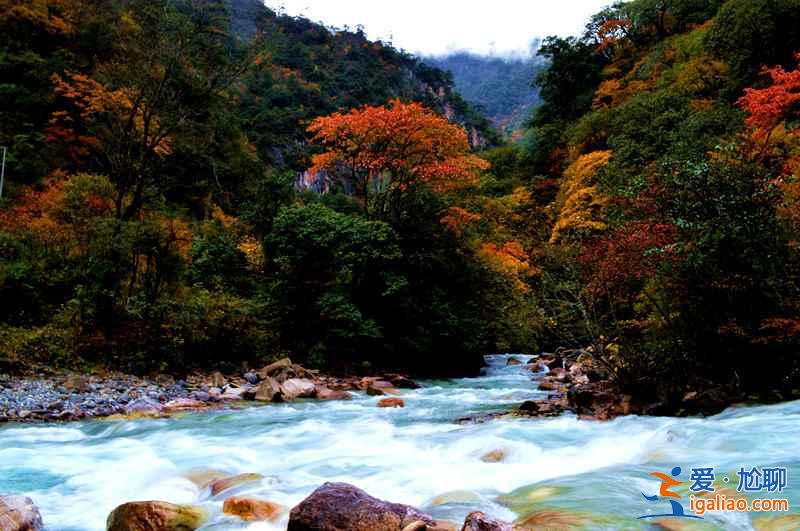 四川8大紅葉觀賞地，2018四川紅葉進入最佳觀賞期？