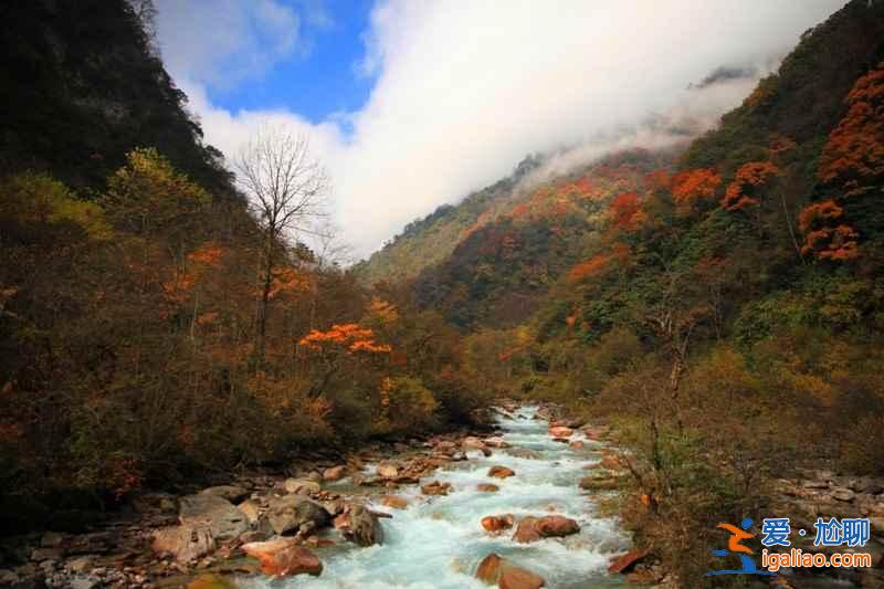 四川8大紅葉觀賞地，2018四川紅葉進入最佳觀賞期？