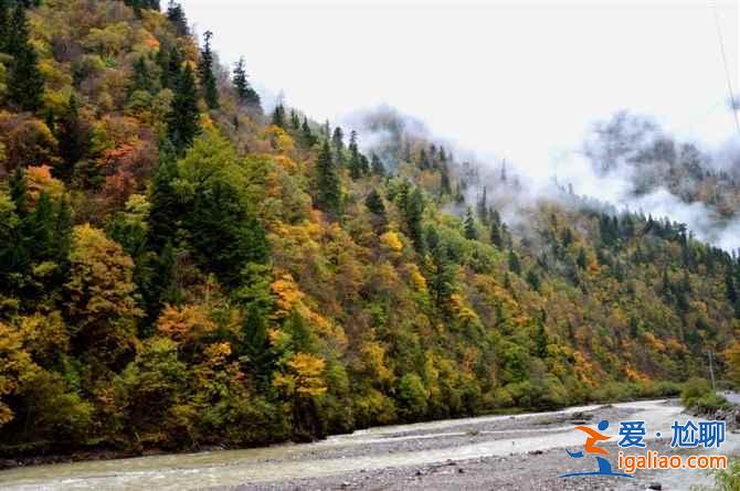 四川8大紅葉觀賞地，2018四川紅葉進入最佳觀賞期？