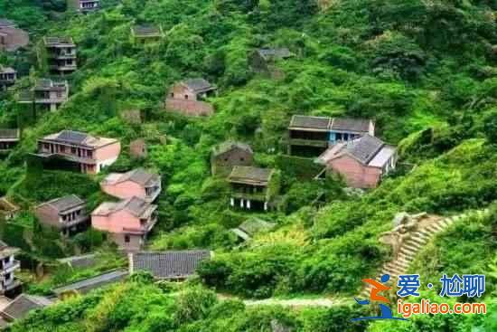 舟山村民遺棄小島20年，小島自然生長(zhǎng)恍如仙境？