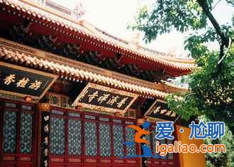 舟山村民遺棄小島20年，小島自然生長(zhǎng)恍如仙境？
