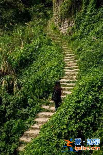 舟山村民遺棄小島20年，小島自然生長(zhǎng)恍如仙境？
