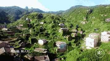 舟山村民遺棄小島20年，小島自然生長(zhǎng)恍如仙境？
