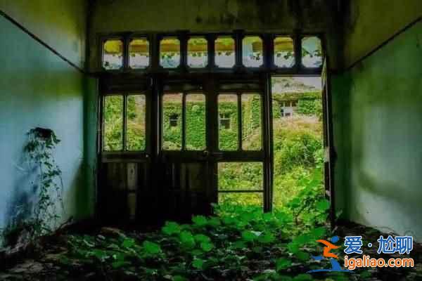 舟山村民遺棄小島20年，小島自然生長(zhǎng)恍如仙境？