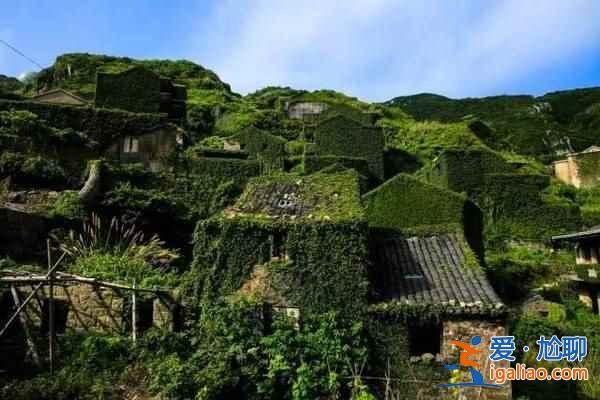 舟山村民遺棄小島20年，小島自然生長(zhǎng)恍如仙境？
