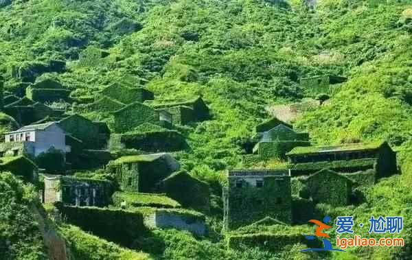 舟山村民遺棄小島20年，小島自然生長(zhǎng)恍如仙境？