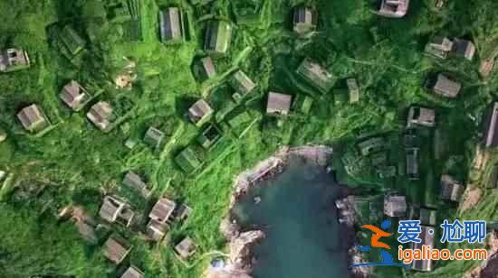 舟山村民遺棄小島20年，小島自然生長(zhǎng)恍如仙境？