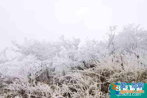 2022南寧大明山霧凇觀賞攻略 附最佳觀賞點推薦？