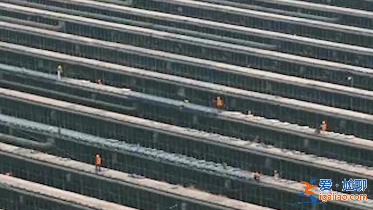 鄭州在重點文物單位建方艙被叫停，工人們已經逐步撤離[建設方艙]？