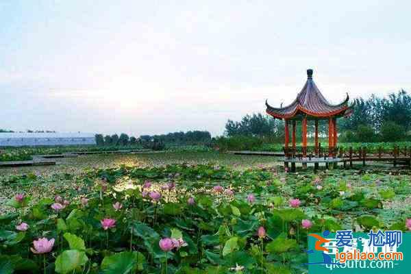 2021泗洪洪澤湖濕地加強疫情防控通知？