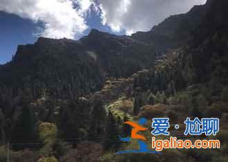 米亞羅紅葉到底怎樣,2018米亞羅紅葉最佳觀賞時間? 米亞羅紅葉到底怎樣,2018米亞羅紅葉最佳觀賞時間?