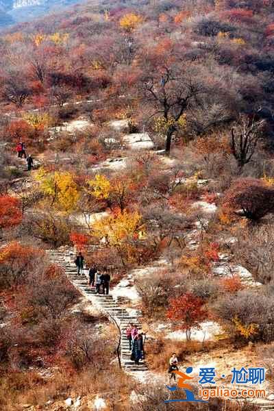 2018坡峰嶺什么時候看紅葉,坡峰嶺紅葉最佳時間? 2018坡峰嶺什么時候看紅葉,坡峰嶺紅葉最佳時間?