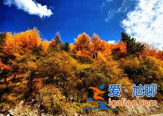 米亞羅紅葉到底怎樣,2018米亞羅紅葉最佳觀賞時間? 米亞羅紅葉到底怎樣,2018米亞羅紅葉最佳觀賞時間?