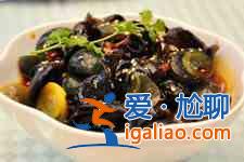 海木耳? 海木耳?