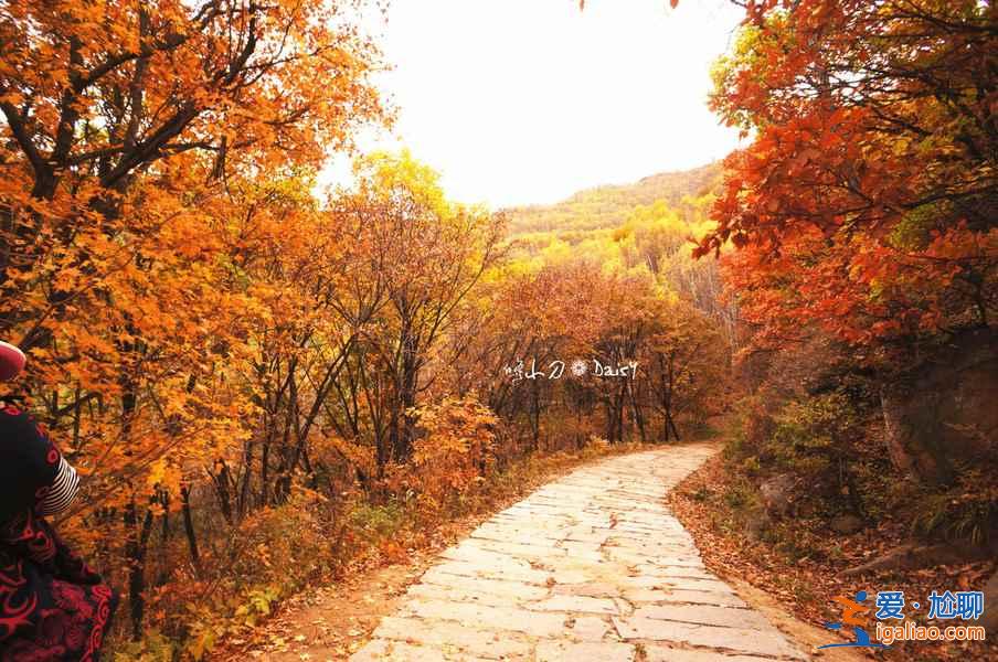 【喇叭溝幾月能看紅葉】2018喇叭溝門紅葉節時間、地點、門票及活動? 【喇叭溝幾月能看紅葉】2018喇叭溝門紅葉節時間、地點、門票及活動?