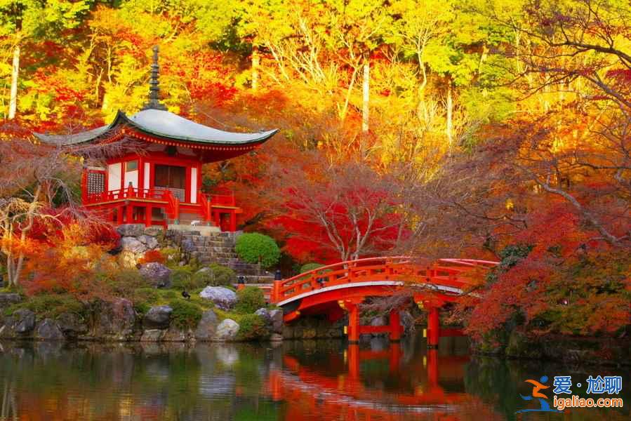 11月去關西賞紅葉路線,2018關西紅葉時間? 11月去關西賞紅葉路線,2018關西紅葉時間?
