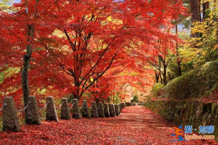 11月去關西賞紅葉路線,2018關西紅葉時間? 11月去關西賞紅葉路線,2018關西紅葉時間?