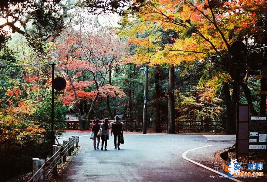 【京都紅葉景點】2018京都紅葉時間及地點？