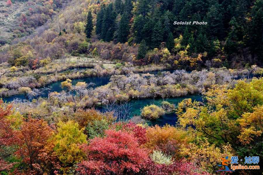 2018九寨溝紅葉時間，九寨溝紅葉指數預報？