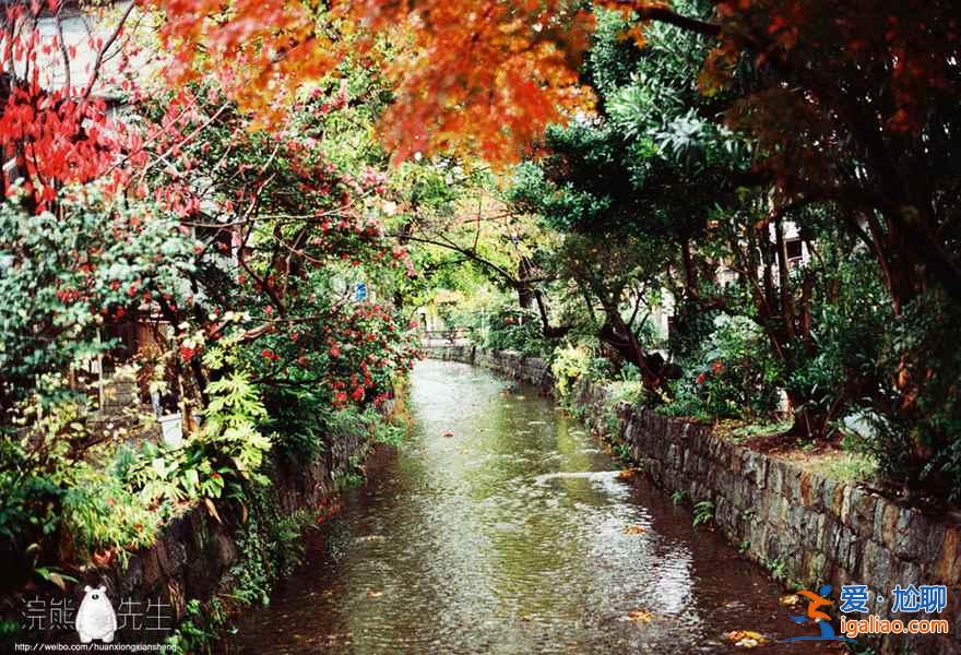 【京都紅葉景點】2018京都紅葉時間及地點？