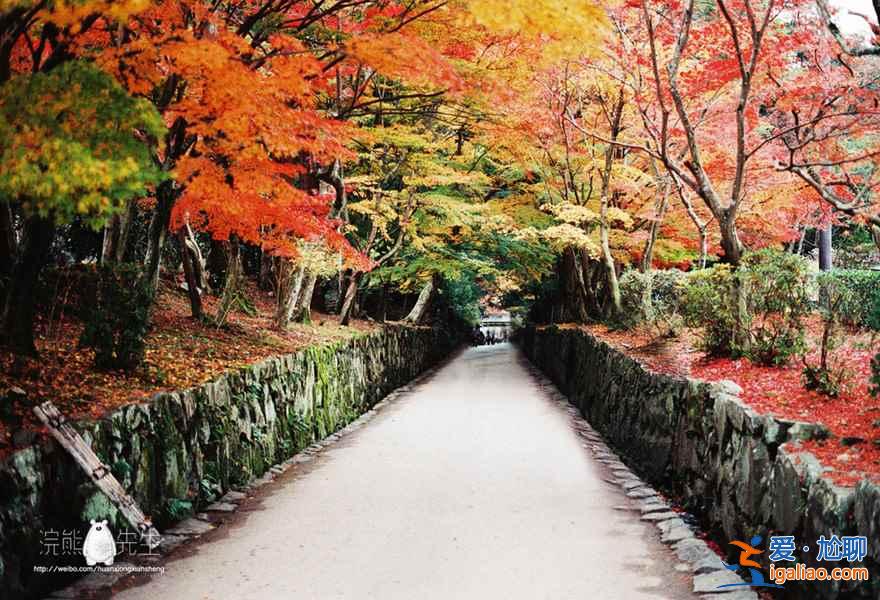【京都紅葉景點】2018京都紅葉時間及地點？