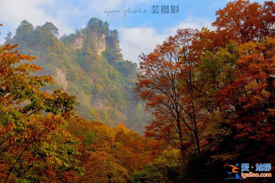 光霧山的紅葉，紅的非常震撼！？