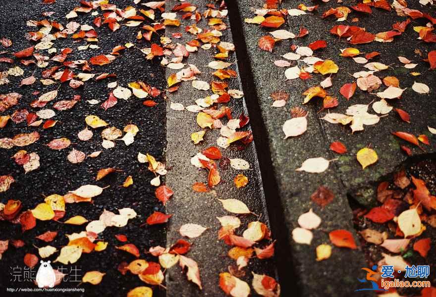 【京都紅葉景點】2018京都紅葉時間及地點？
