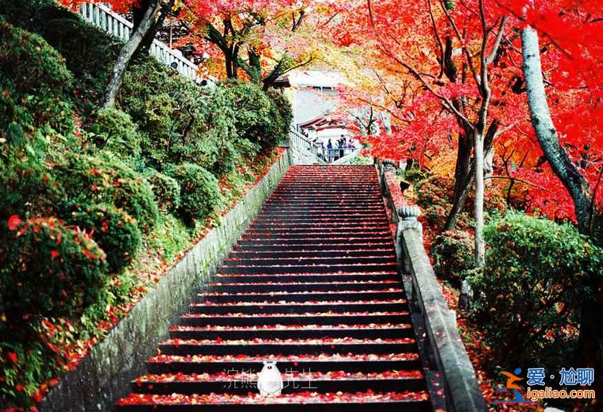 【京都紅葉景點】2018京都紅葉時間及地點？