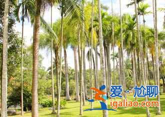 2017西雙版納潑水節(jié)，2017西雙版納潑水節(jié)時(shí)間？