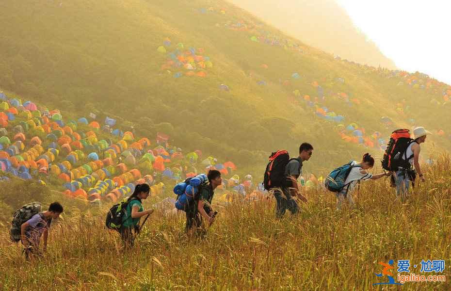 中國(guó)最美的三大高山草甸：戶(hù)外露營(yíng)好去處？
