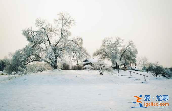 東北冬天有多冷，東北應該怎樣玩？？