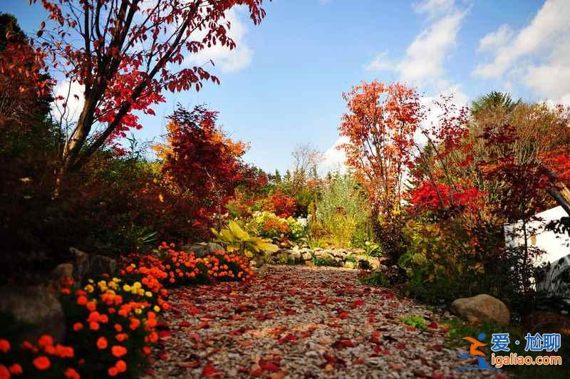 2018北海道紅葉觀賞景點及時間，北海道最美秋季美景？