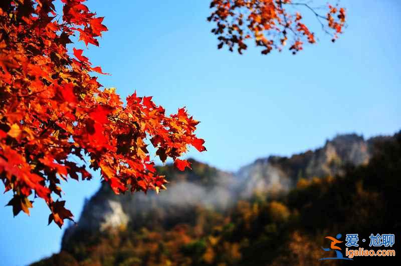 2018北海道紅葉觀賞景點及時間，北海道最美秋季美景？