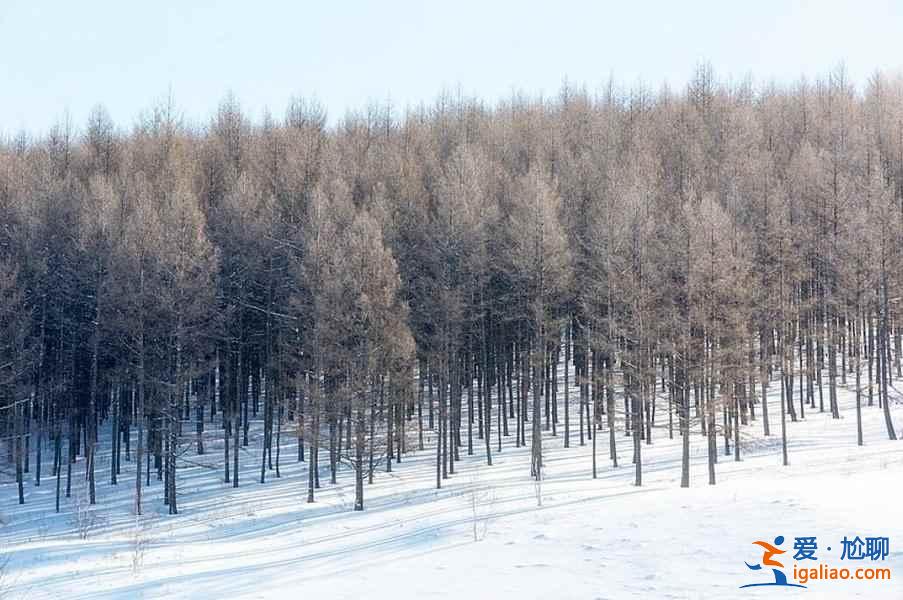 中國雪景最美的7個地方,美哭了世界!? 中國雪景最美的7個地方,美哭了世界!?