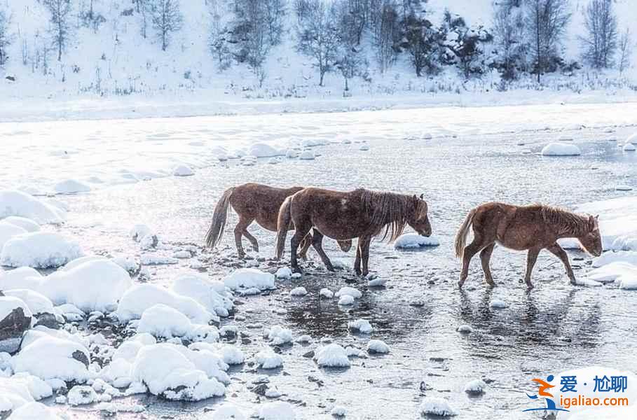 中國雪景最美的7個地方,美哭了世界!? 中國雪景最美的7個地方,美哭了世界!?